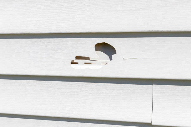 Storm Damage Siding Repair in Shasta Lake, CA